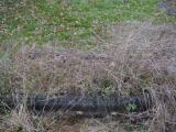 image of grave number 390448